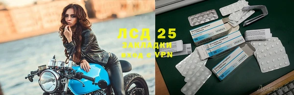экстази Бородино