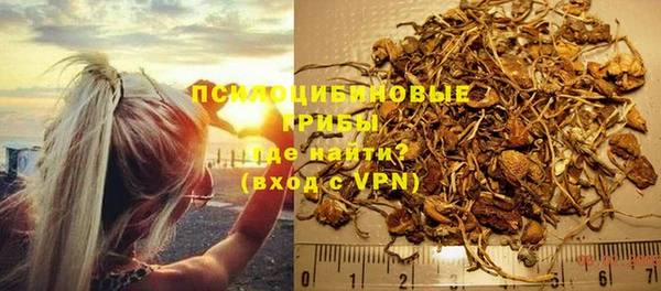 экстази Бородино