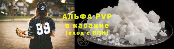 экстази Бородино