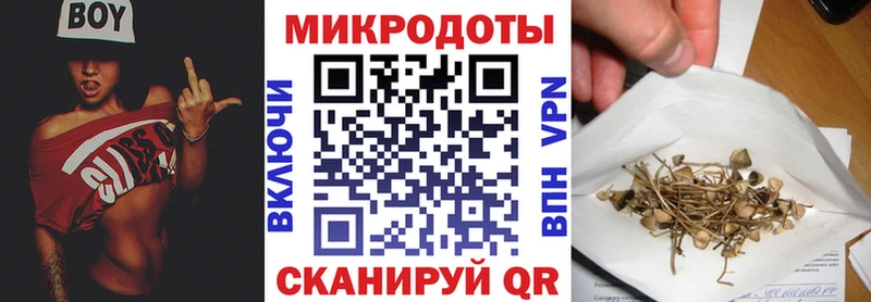 Псилоцибиновые грибы мухоморы  Городец 